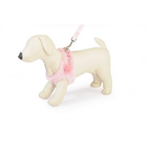   DC016/C Meleg béléses hám 44/50 cm és póráz 15*1200 mm kisméretű kutyának M