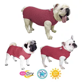   RFITDDBF-G Duo Dry Fit Regular Védőruha kutyáknak - kan és szuka. Francia bulldog, rózsaszín Méret G
