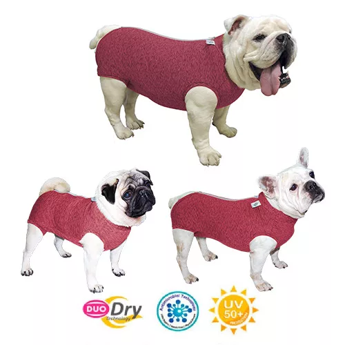 RFITDDBF-G Duo Dry Fit Regular Védőruha kutyáknak - kan és szuka. Francia bulldog, rózsaszín Méret G