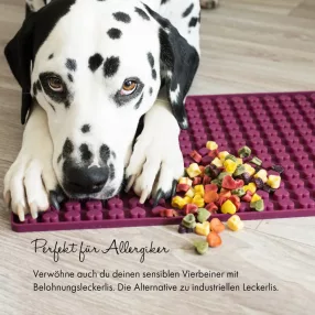 Collory szilikon sütőforma